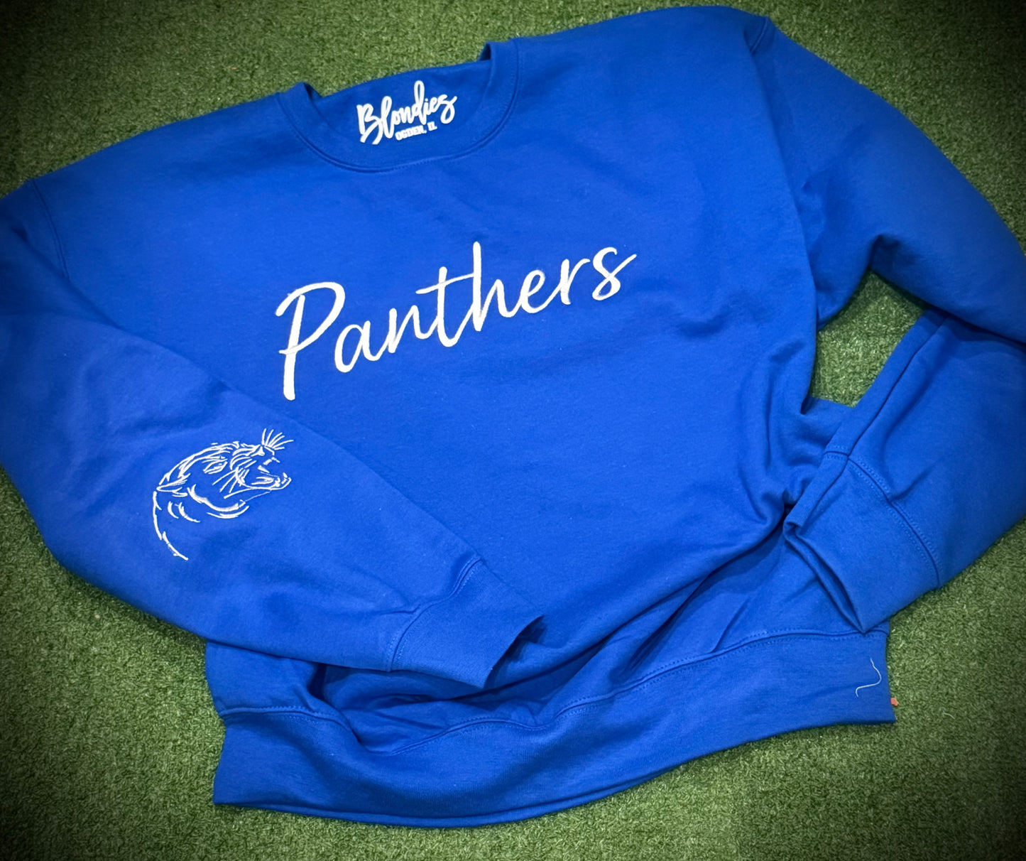 Panthers Embroidered