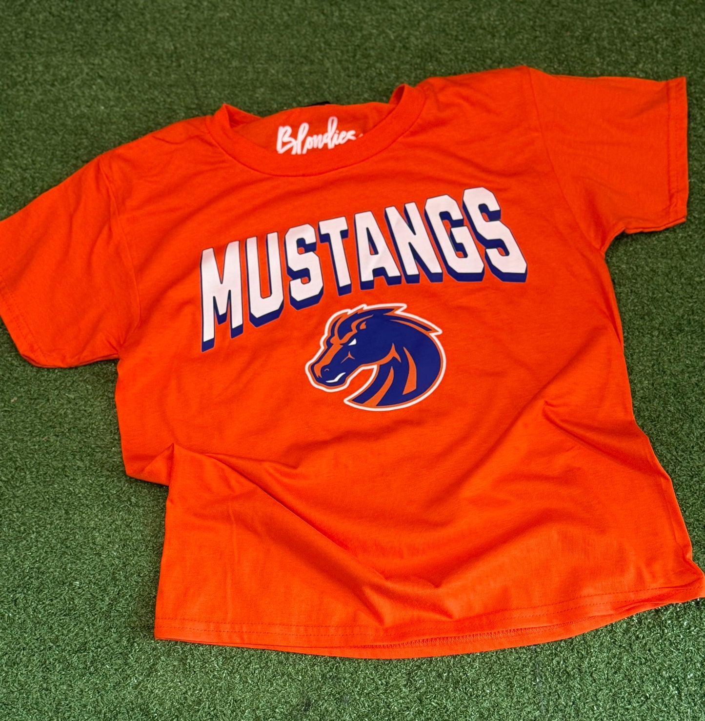 Mustang Shadow Mascot