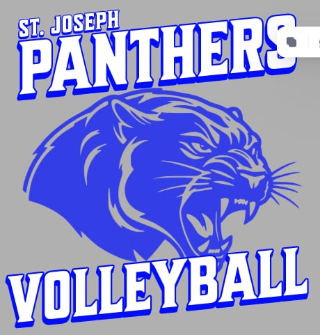 Panthers Volleyball Grey