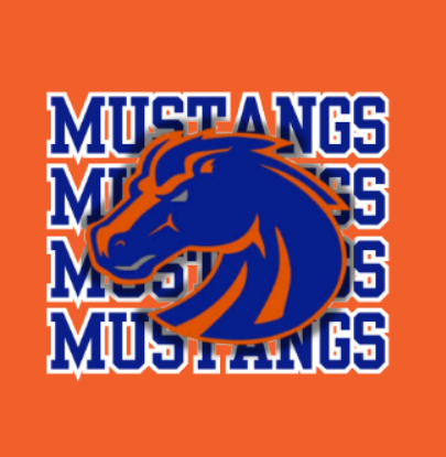 Mustangs Quad Orange Adult
